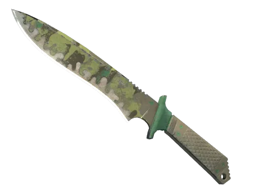 Boreal Forest