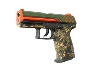 P2000 | Woodsman (Minimal Wear)