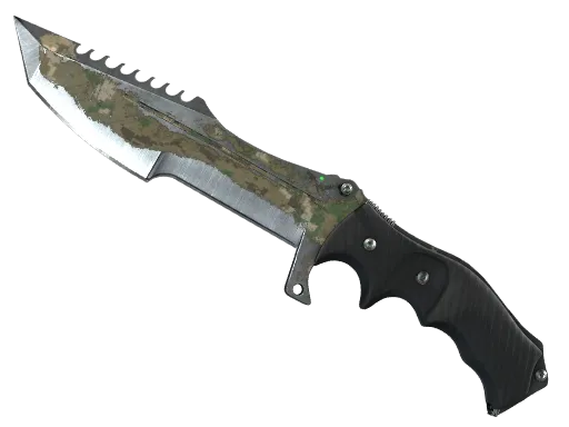 Forest DDPAT