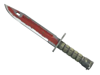 ★ StatTrak™ Bayonet | Crimson Web (Battle-Scarred)
