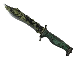★ Bowie Knife | Boreal Forest (Battle-Scarred)